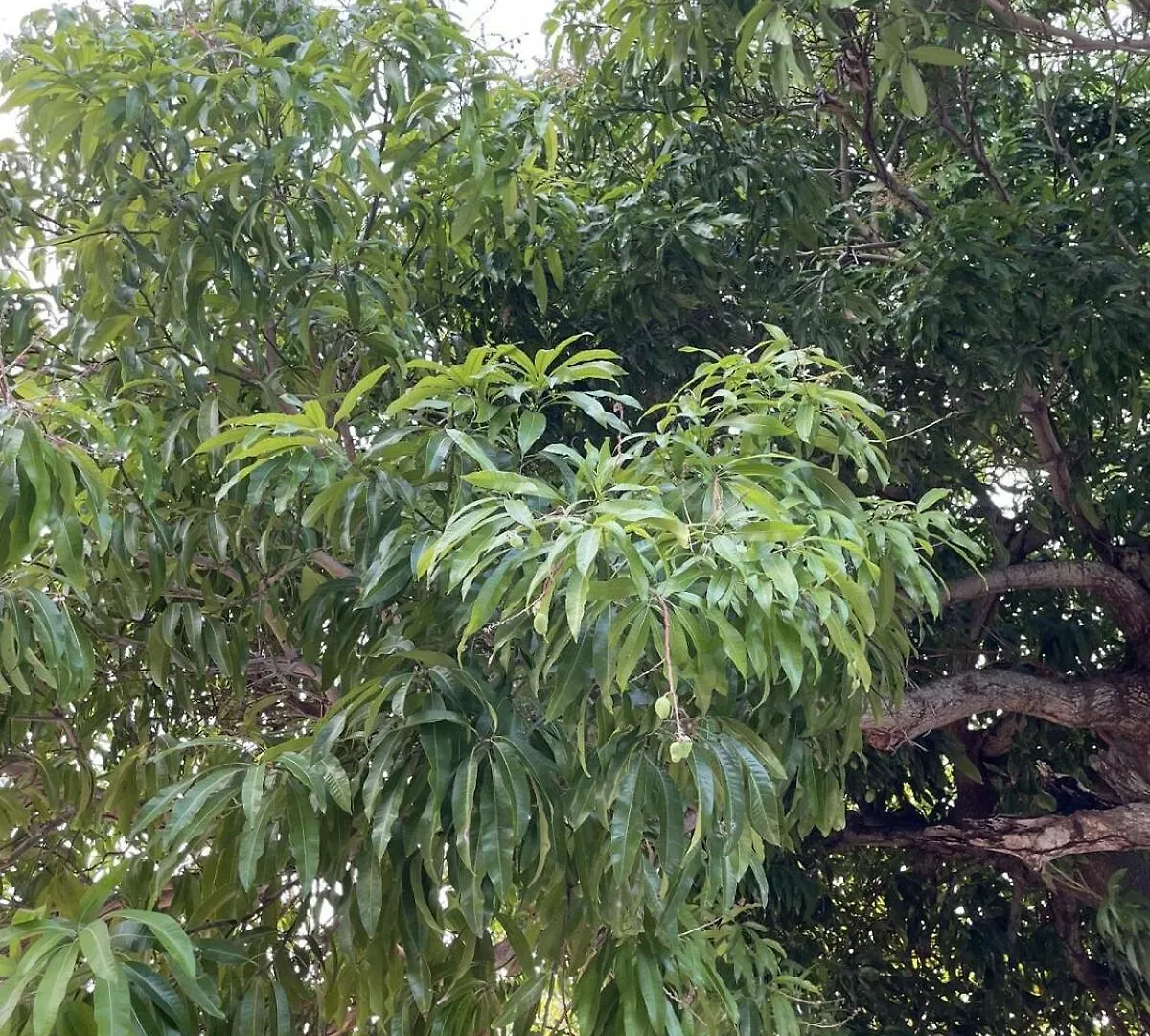 Jade Coast Getaway Near Montego Bay Apartman